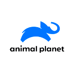 9 - Animal Planet.png